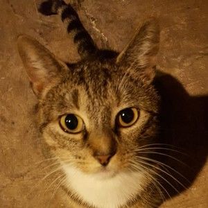 Meet your Posher, Lori